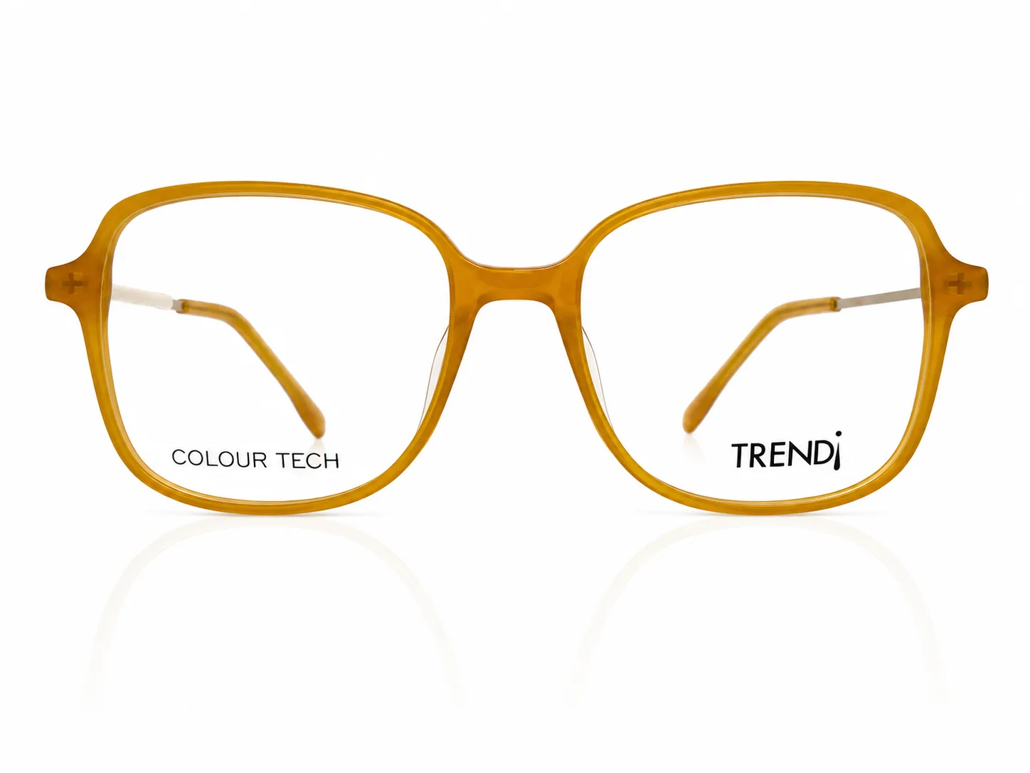 TREND¡ TRG542513